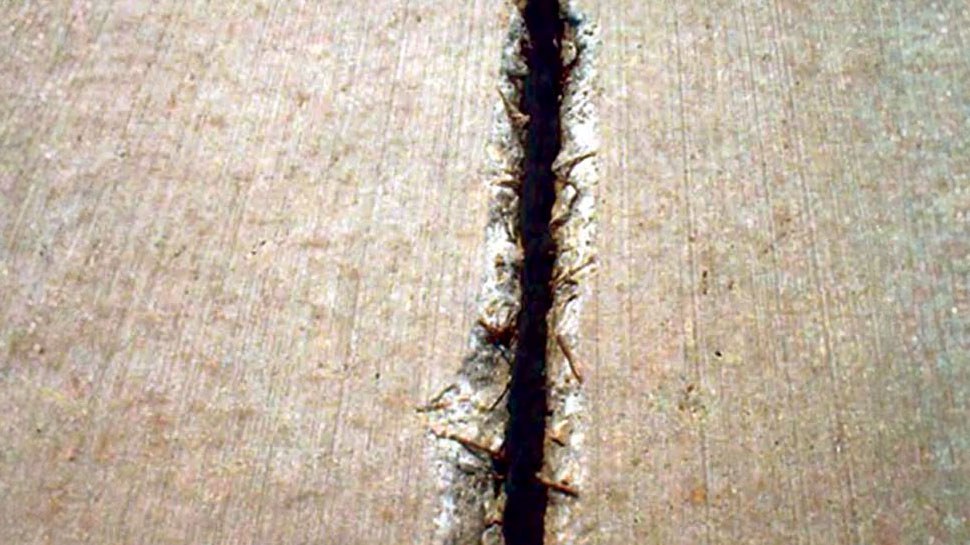 AR_042_EN_Figure 10